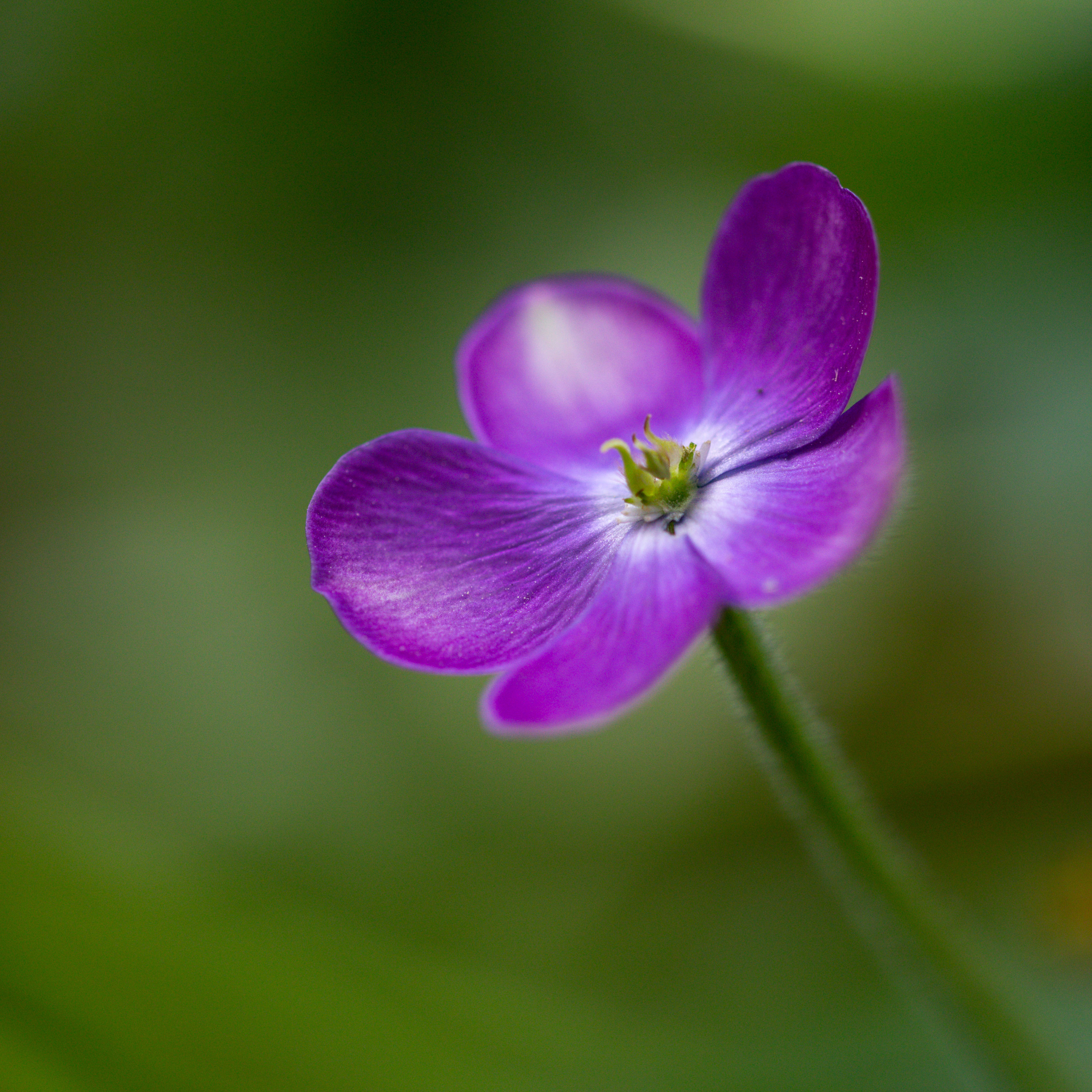 IMG_4232.web